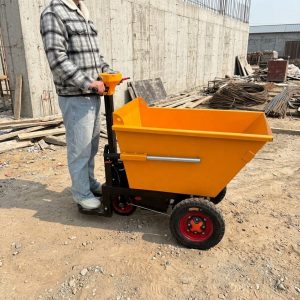 Xe Rùa Điện - Đứng Lái
