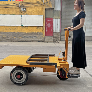 Xe Đẩy Điện Chở Hàng Đứng Lái